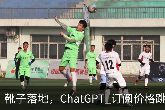 靴子落地，ChatGPT 订阅价格跳水，用户心情如过山车